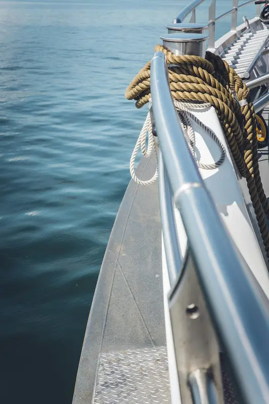 Viper.Boats Premium Domain